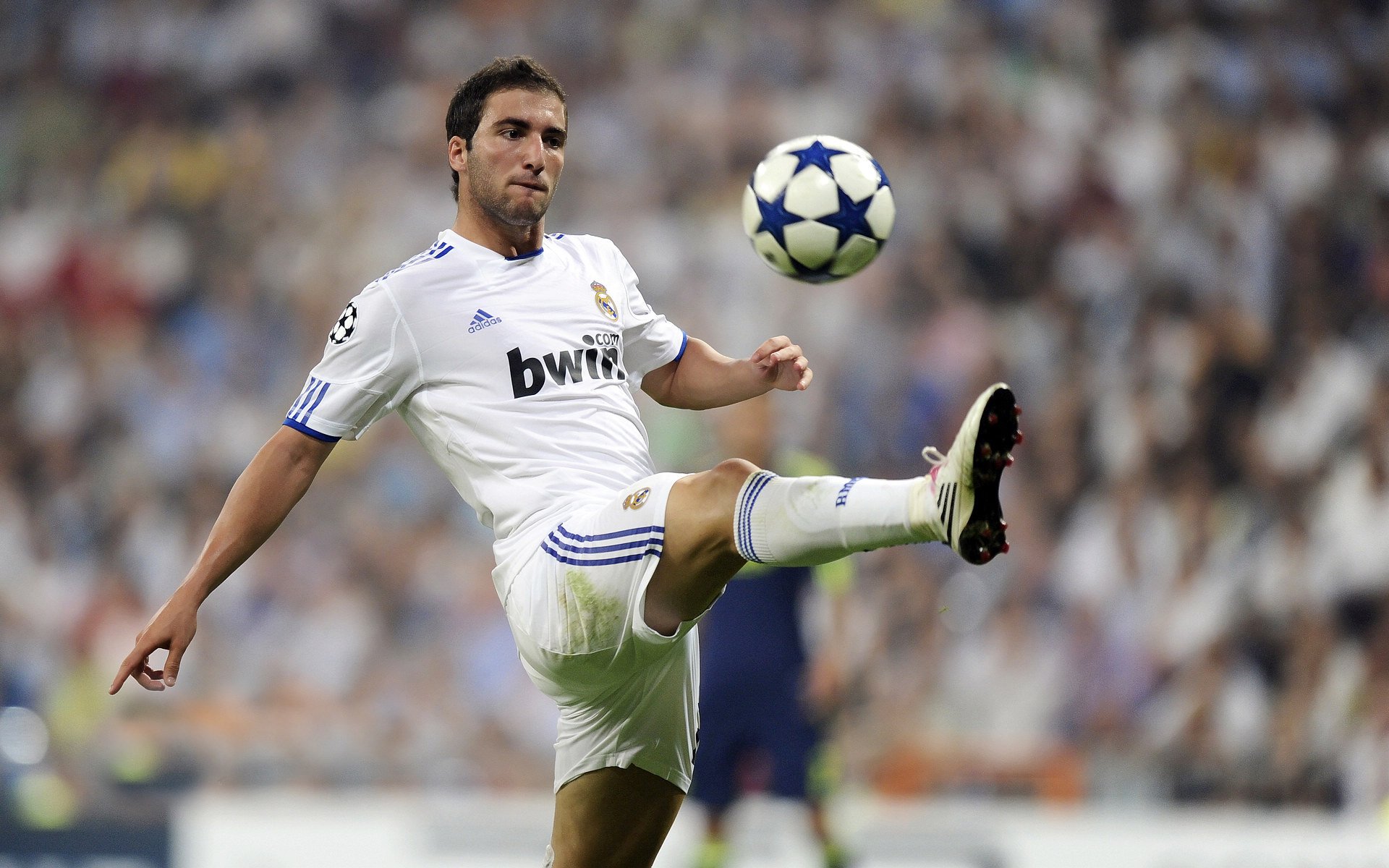 世俱杯“淘汰赛大揭秘”:黑马球队继续前行的秘密